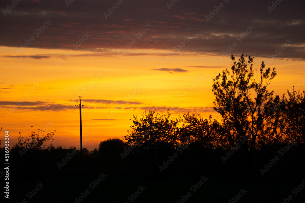 Fototapeta premium sunset in the field