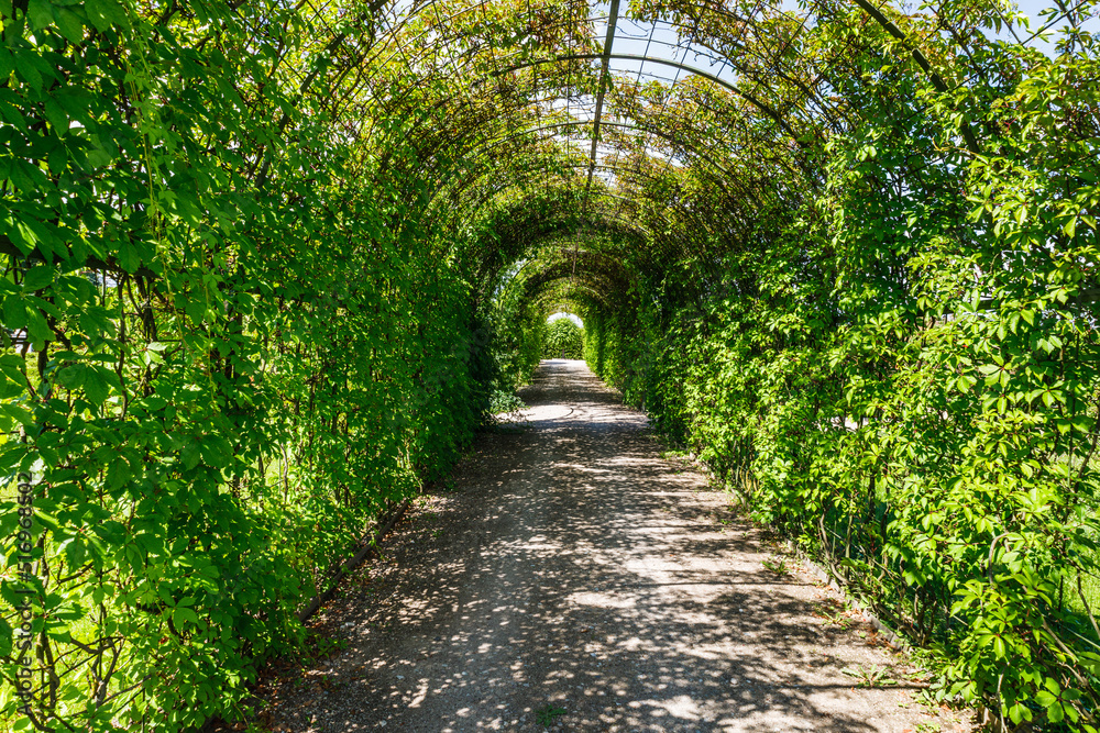 Archway in Rundale Palace park in Latvia, leading to a garden