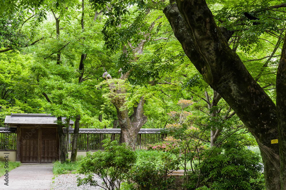 旧藤田邸庭園(大阪府大阪市都島区) 旧藤田邸庭園(大阪府大阪市都島区)