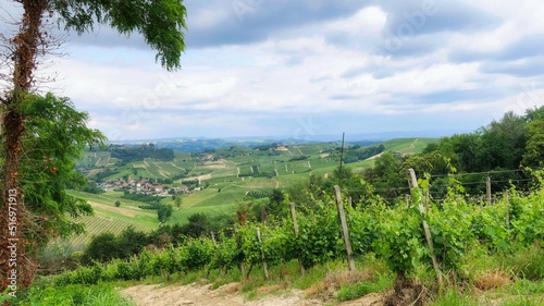 The vineyards of mont   d alba in the Piedmontese langhe  during a mangialonga in June 2022