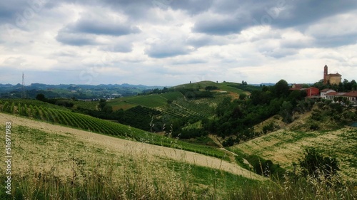 Fototapeta Naklejka Na Ścianę i Meble -  landscapes of vineyards in montà d'alba, in the Piedmontese Langhe. in the summer of 2022