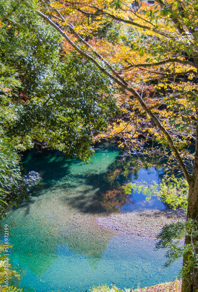 みたらい渓谷（奈良県天川村）の紅葉