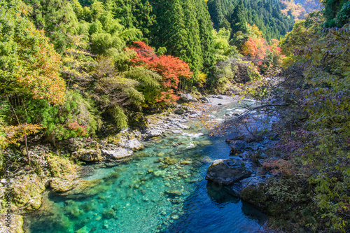 みたらい渓谷（奈良県天川村）の紅葉 © 弘文 杉尾
