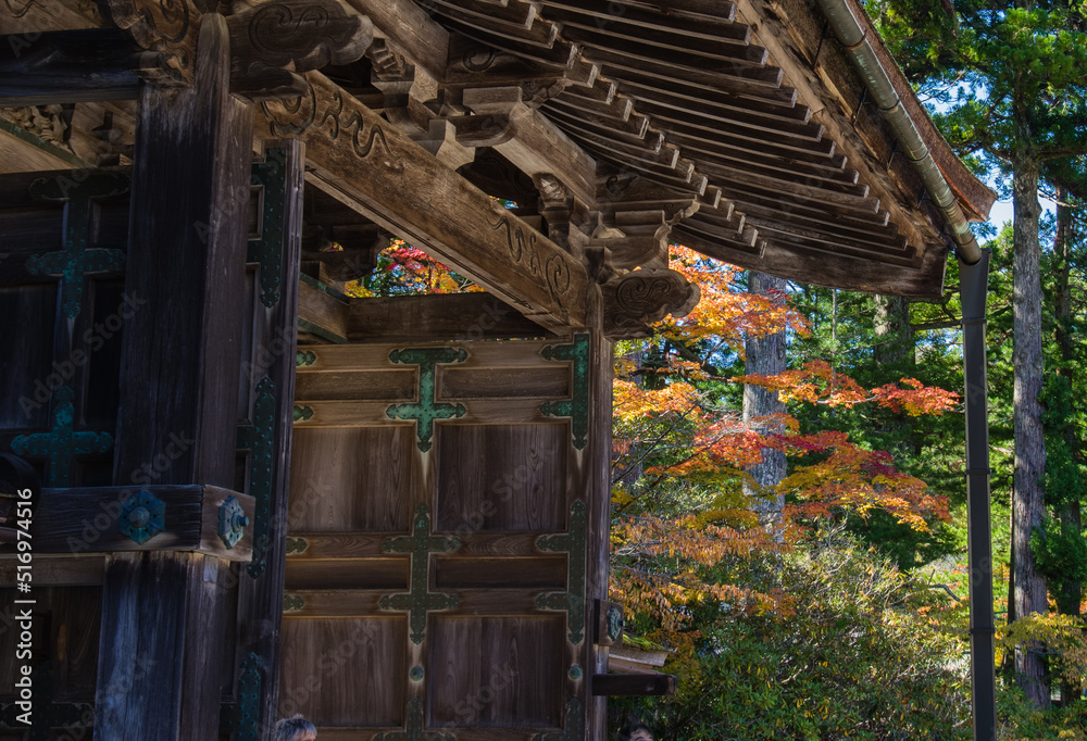 高野山(和歌山県高野町)の紅葉
