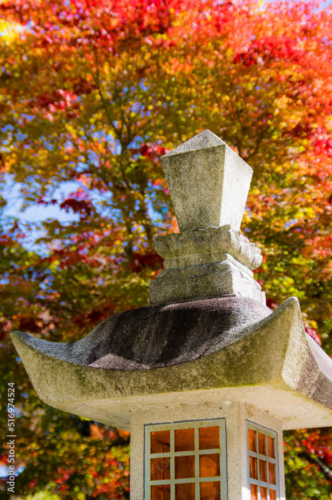 高野山(和歌山県高野町)の紅葉