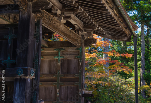 Obraz na płótnie 高野山(和歌山県高野町)の紅葉 w salonie