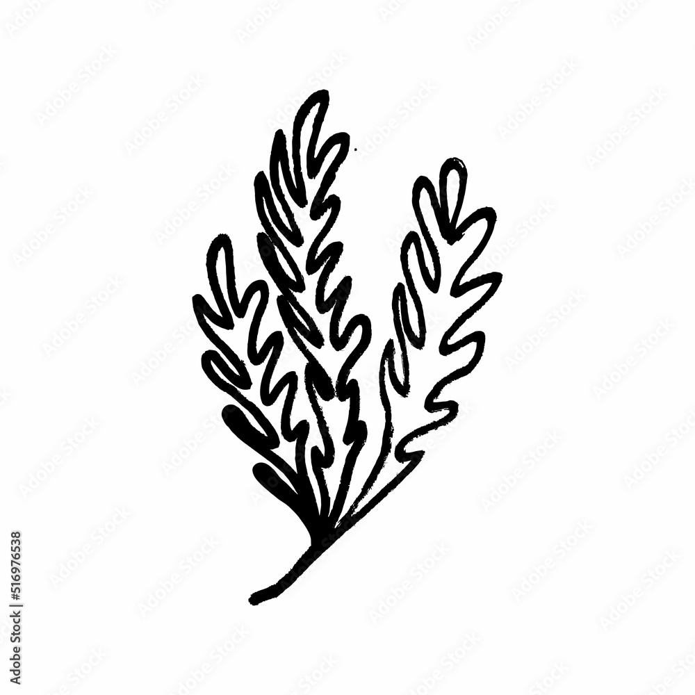 Freehand drawings of plants on a white background. Black brush drawing of flowers and field plants. Careless graphics with a black felt-tip pen. Freehand drawings of plants on a white background. Black brush drawing of flowers and field plants. Careless graphics with a black felt-tip pen.