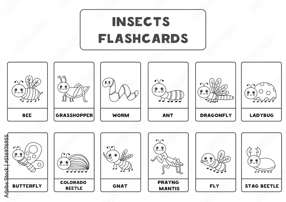 Black and white insect flashcards for kids.