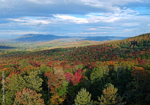 Aerial view of foliage in Vermont