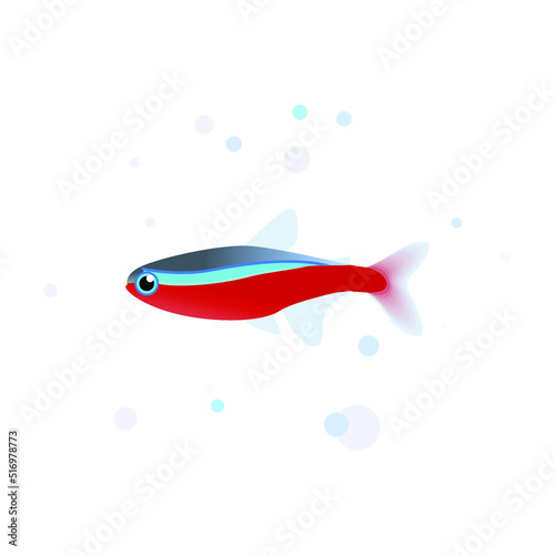cardinal tetra vector icon design