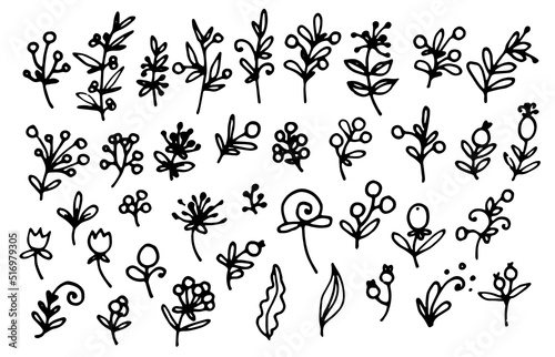 a set of vector cute twigs with berries and flowers, with leaves with isolated black outline on white. hand-drawn plants in the style of doodles, for textile design template, postcards and backgrounds