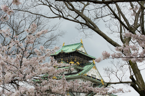 Obraz na płótnie 大阪城の桜 w salonie