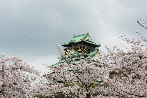 Obraz na płótnie 大阪城の桜 w salonie