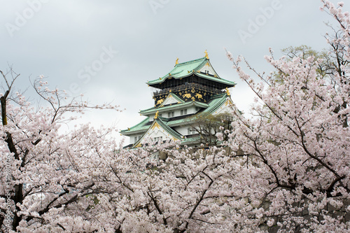 Obraz na płótnie 大阪城の桜 w salonie