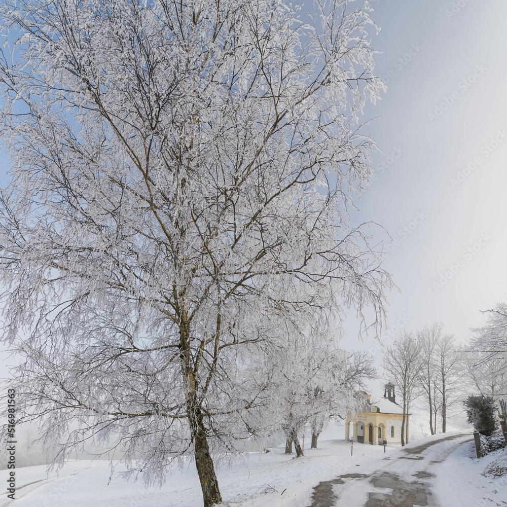 Fototapeta premium Mostviertel in winter