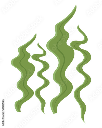 green algaes sealife