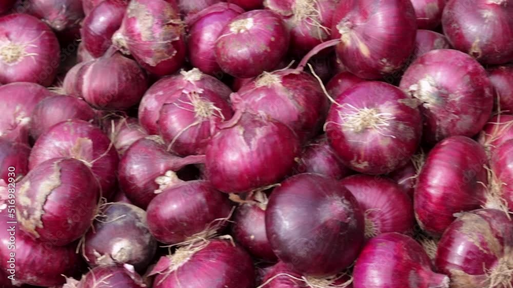 fresh organic onion from farm close up from different angle fresh organic onion from farm close up from different angle