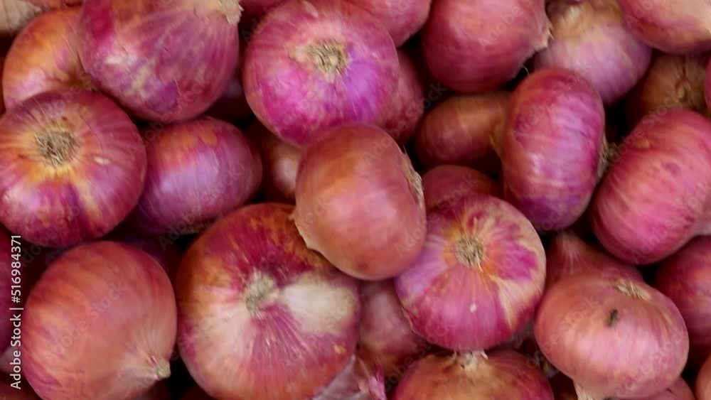 fresh organic onion from farm close up from different angle fresh organic onion from farm close up from different angle