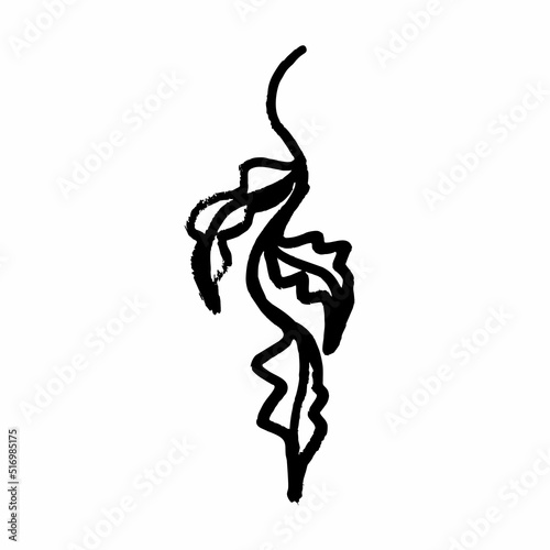 Freehand drawings of plants on a white background. Black brush drawing of flowers and field plants. Careless graphics with a black felt-tip pen. GRUNGE