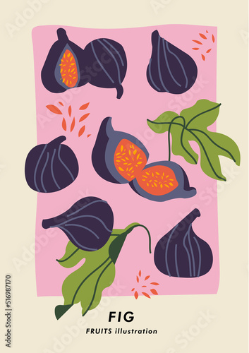 Vector illustration botanical poster with fig fruits. Art for for postcard, wall art, banner, background and cover.