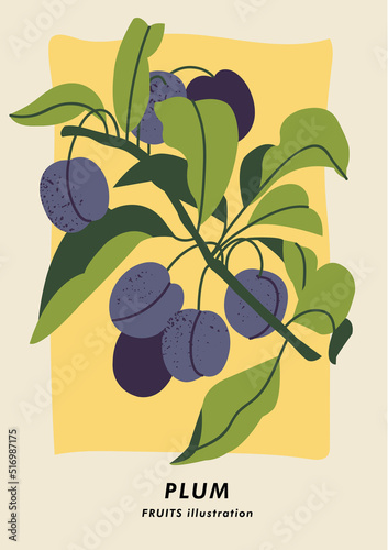 Vector illustration botanical poster with plum fruits. Art for for postcard, wall art, banner, background and cover.
