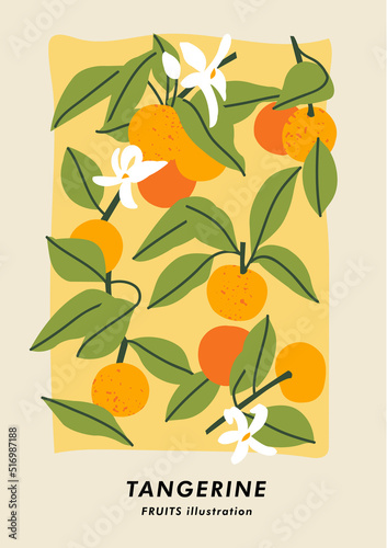 Vector illustration botanical poster with tangerine fruits. Art for for postcard, wall art, banner, background and cover.