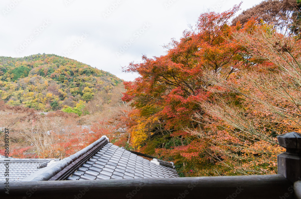 紅葉の瑠璃光院(京都府左京区)