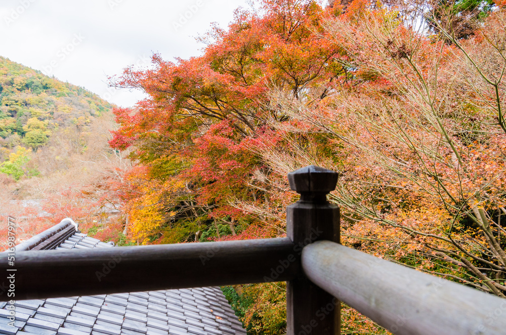 紅葉の瑠璃光院(京都府左京区)