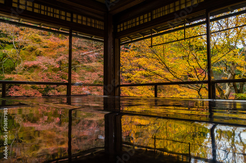 Obraz na płótnie 紅葉の瑠璃光院(京都府左京区) w salonie