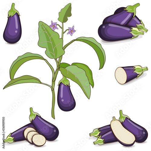 Set of eggplants for banners, social media. Whole, half, sliced