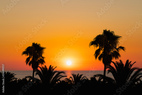 Sun setting over the sea with palm trees