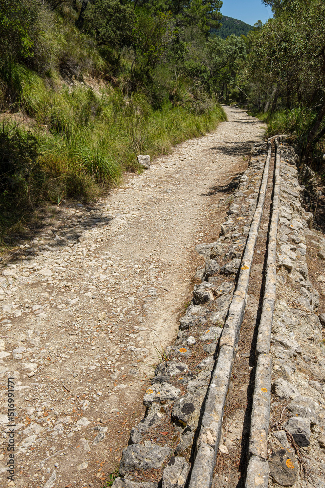 Obraz premium cami Vell de Estellencs, Puigpunyent, Mallorca, Balearic Islands, Spain