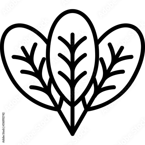 Spinach Icon