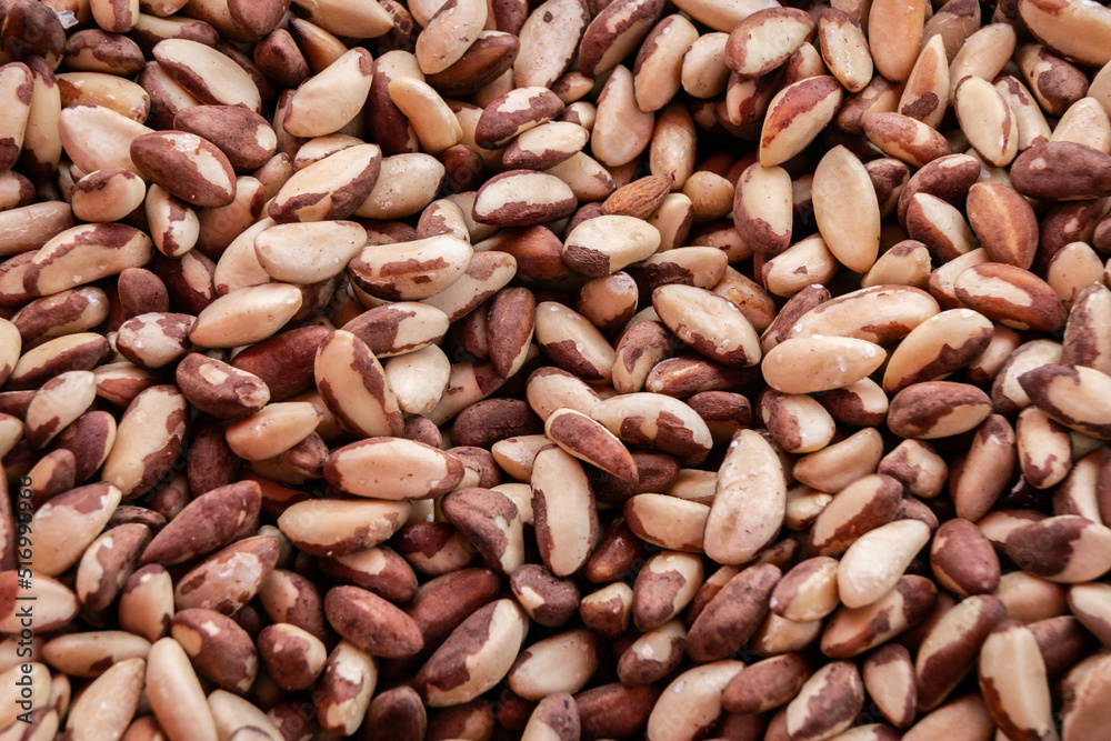Brazil nut texture. South American walnut. Bertholletia. Close-up. Brazil nut texture. South American walnut. Bertholletia. Close-up.