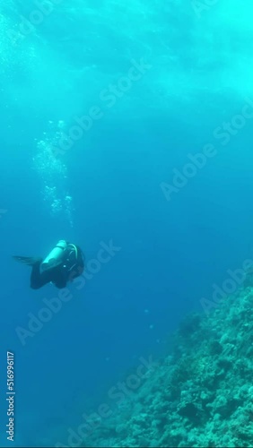 Wallpaper Mural VERTICAL VIDEO: Scuba diver swimming near coral reef under storm waves. Torontodigital.ca