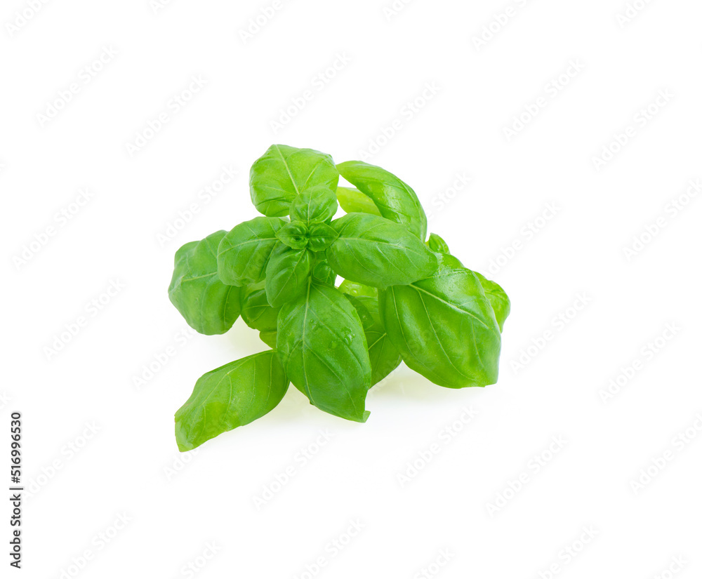 Fototapeta premium Italian basil on white background
