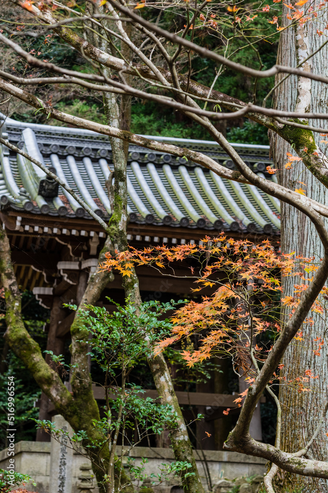 今熊野観音寺(京都府東山区)の紅葉