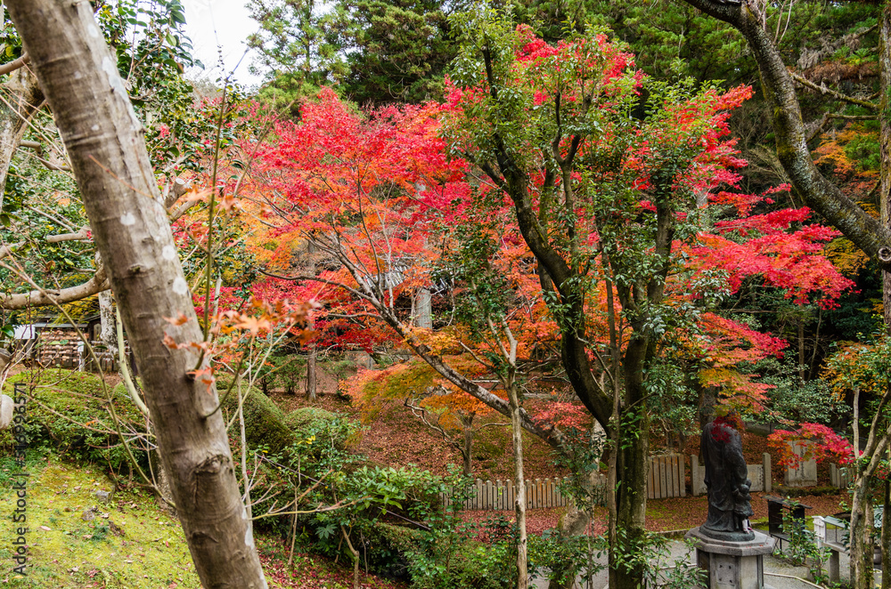 今熊野観音寺(京都府東山区)の紅葉