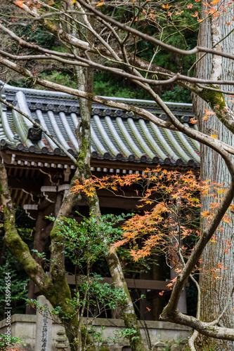 Obraz na płótnie 今熊野観音寺(京都府東山区)の紅葉 w salonie