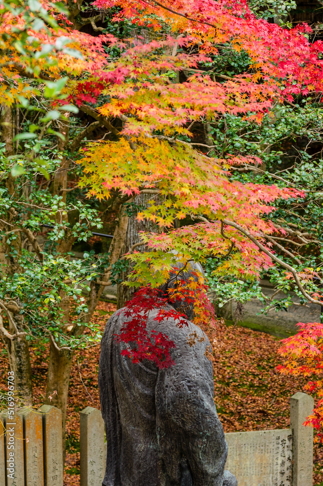 今熊野観音寺(京都府東山区)の紅葉