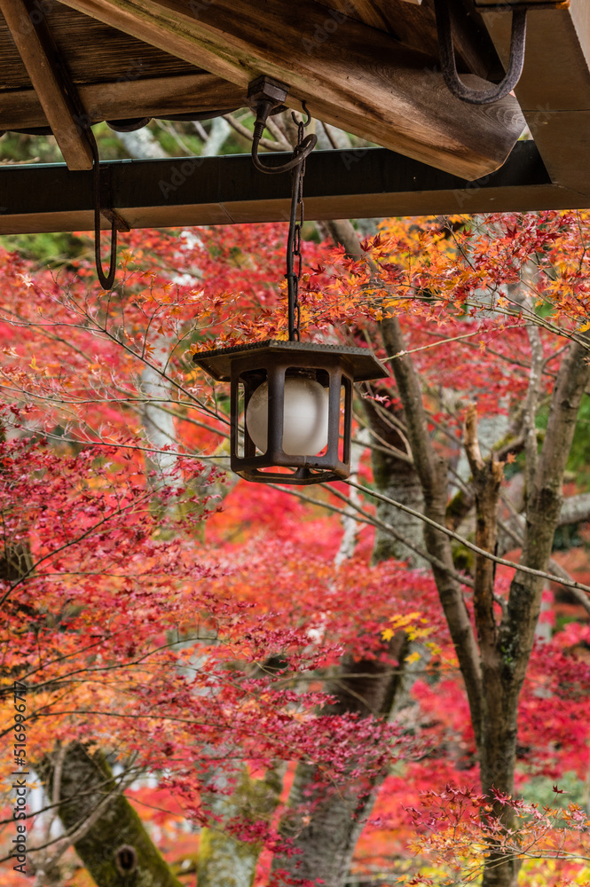 今熊野観音寺(京都府東山区)の紅葉