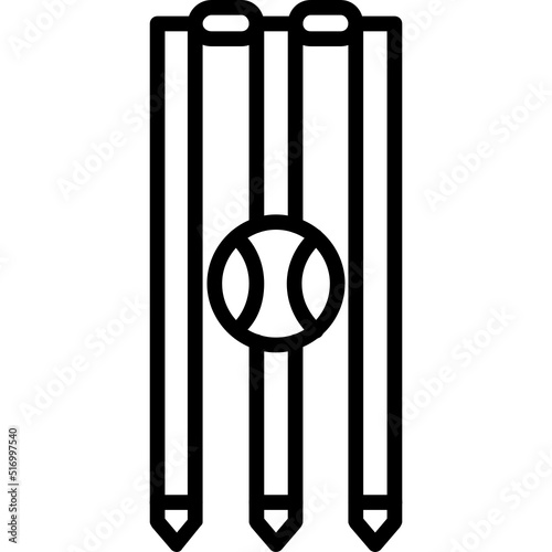 Wicket Icon
