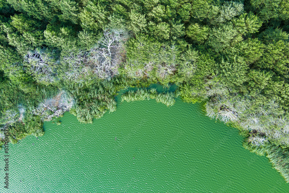 Beautiful aerial view of lake Plaze in Klaipeda district, where bird lovers can watch the lake's water birds up close. Beautiful aerial view of lake Plaze in Klaipeda district, where bird lovers can watch the lake's water birds up close.