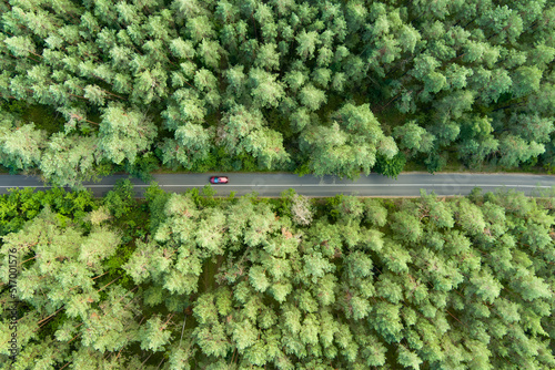 Aerial top down view of autumn forest with a path among pine trees.