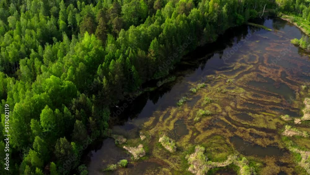 Top, aerial view of forest with swamp. Woodland, marsh taken by drone. Wooded landscape panorama. Protection of environment, ecology, natural wild place Top, aerial view of forest with swamp. Woodland, marsh taken by drone. Wooded landscape panorama. Protection of environment, ecology, natural wild place
