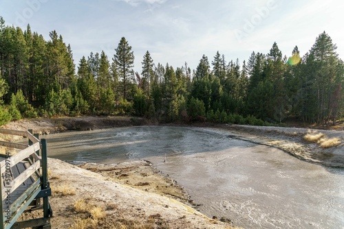 Flowing geyser near trees in Yellowstone National Park