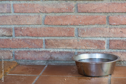 bol de agua para perro doméstico © Cristina