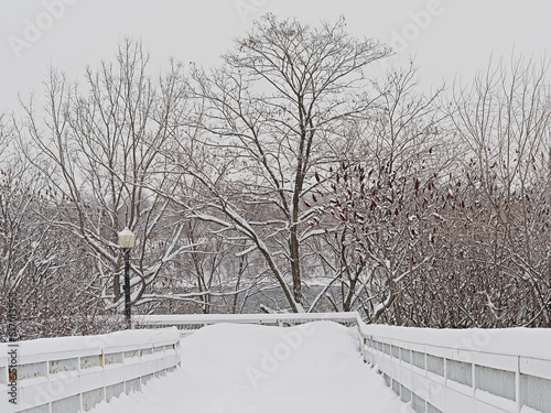 Snow covered street with lanterns and rows of bare trees in Jean Drapeau park, Montreal, Quebec, Canada 