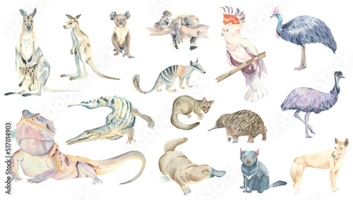 Set of watercolor animals of Australia: kangaroo, koala, wild dog dingo, parrot cockatoo inca, echidna, narrow-nosed crocodile, platypus, emu, marsupial anteater, helmeted casso © filipok1988