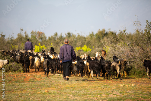 Shepherds and a herd of goats.